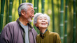 Elderly Asian couple in bamboo forest, bright day, happy, smiling, love.