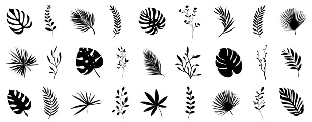 Tropical leaf and flower branch silhouette collection. Set of palm leaves and tree branch silhouettes isolated on white background. Beautiful palm tree leaf silhouette