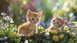 super cute baby kitten in a charming and enchanting display of persona and charm. Generative Ai
