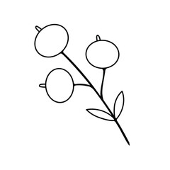 Wall Mural - Foliage berry branch floral icon. Hand drawn Botanical vector illustration.