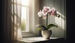 A white vase filled with delicate pink orchid flowers sits gracefully next to a window, basking in the soft glow of natural light