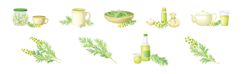 Wall Mural - Wormwood or Southernwood Plant Extract and Herb Vector Set