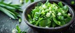 Healthy spring dietary food: green salad with vegetables and bear leek or wild garlic.