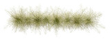 Fototapeta  - Top view long grass row perspective for landscape clipart on transparent backgrounds 3d rendering png