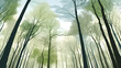 Forest trees low angle landscape panorama