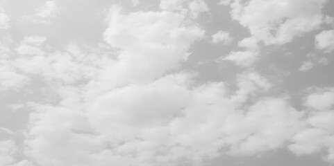 Wall Mural - White cloud in the sky. View on a soft white fluffy cloud as background. Cloudy sky, white clouds, black background pattern. The gray cloud trendy photo. White sky image	