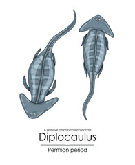 Poster - Diplocaulus, a Permian period prehistoric primitive amphibian lepospondyl. Colorful illustration on a white background