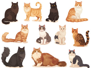  Vector illustration set of various cats on white background.