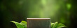 © sakina - 3D rendering of a brown stone pedestal with green leaves on a blurred green background.