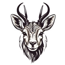 Antelope Face For Logo Isolated On White Background. Line Art Vector Of Springbok Head. Gazelle Head. Wild Animal. Perfect For Tshirt Design, Logo Or Decoration. Cow, Deer Head Vector Icon Logo 