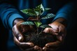 African man nurturing plant in fertile soil, eco-awareness and sustainability concept