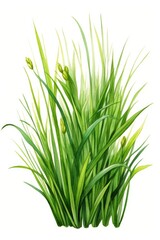 Poster - Vibrant painting of green grass, ideal for nature concepts