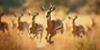 Herd of antelope running in dry grass field, suitable for wildlife concepts