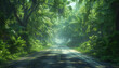 Road in the jungle