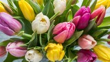 Fototapeta Tulipany - multi colored tulips top view