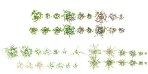 Wall Mural - 3d illustration of set grass isolated on white background stock photo from top view