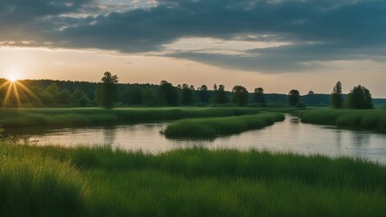 Wall Mural - sunrise over the river river and summer nature with blue water and green grass  a photo river and summer nature  