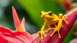 Close-up of a yellow frog on a heliconia plant