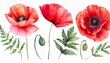 watercolor red flowers set poppy flower painting floral decor for greeting card wedding invitation