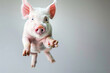 funny pig flying. photo of a playful tabby pig jumping mid-air looking at camera. background with copy space. Funny animals