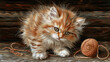 Furry Comfort: Fluffy Kittens & Yarn Balls