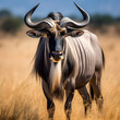  Majestic Gnu Standing Tall and Proud Against the Backdrop of an Untamed Savannah Landscape