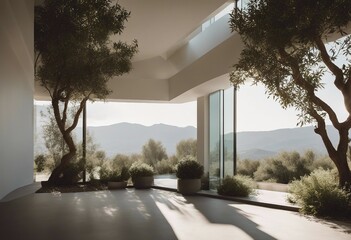 Wall Mural - Minimalism modern architecture design sunlight and white color with large window Plants olive trees on modern empty balcony