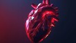 Realistic heart, low poly art.