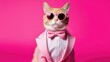 Portrait of a white cat in a tuxedo wearing sunglasses and a suit, animal fashion concept.Business concept