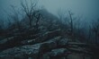 © TheoTheWizard - Foggy mountain landscape with rocks and trees in the mist.