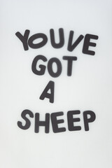 Poster - youve got a sheep