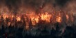© Ziyan Yang - Forest fire, many acres of pine trees burn down during the dry season. Wildfire burns in the forest.The concept of global cataclysms on earth.