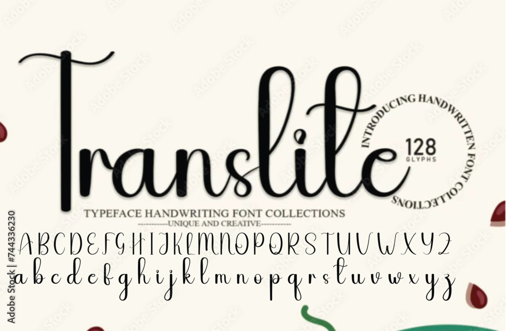 handwritten calligraphy font. Vector alphabet. Hand drawn letters Stock ...