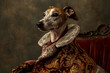 Portrait of greyhound dog in coat
