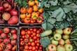 Colorida selección de frutas y verduras frescas y orgánicas dispuestas en cajas, listas para la venta