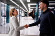 © Andrey Popov - Man Handshake With Partner