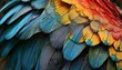 a close up of a colorful bird's feathers