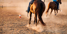 Horses Kicking Up Brown Dust In Dry Arena