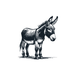 Canvas Print - The donkey. Black white vector illustration.