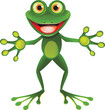 Illustration of a Cheerful Green Frog is standing