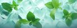 super realictic foto banner Summer mint green background with cold frozen ice cubes. leaves of house plants. concept of Ice podium with space for body care producs, perfume, cocktail. defocus