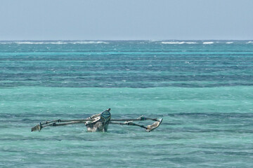 Wall Mural - Scenic view of moored boat at Jambiani beach, Zanzibar