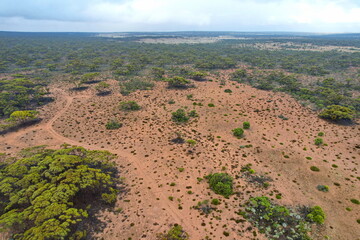 Sticker - The Nullarbor Plain in southern Australia