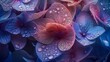 close up of Hydrangea at dawn showcasing intricate petal textures and vibrant colors in macro shot