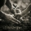 Hands of father and child planting a tree symbolizing growth and environmental care Earthy tones close up shot