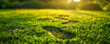 Footprints imprinted on a lush grassy surface, lit by the golden rays of a setting sun.