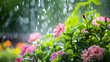A gentle spring rain nourishing a blooming flower garden.