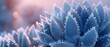 Arctic Thorn: The frozen cactus stands tall, its spines glistening with frost in the frigid air.