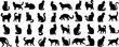 Silhouettes de chat, diverses poses, parfaites pour la conception de logos, mascotte de marque, contenu lié aux animaux de compagnie. Illustration vectorielle polyvalente, style moderne et élégant