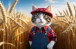 Farmer cat stands in middle of wheat field at sunrise or sunset, at harvest time, close-up